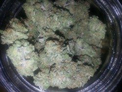 Girl Scout cookie marijuana cannabis
