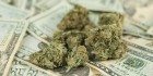 marijuana on money