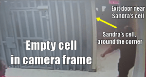 Sandra Bland Camera