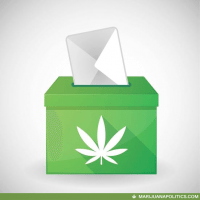 marijuana does well at the ballot box