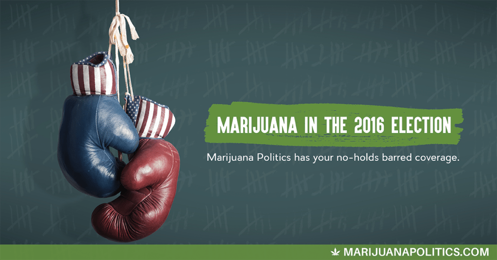 marijuana politics boxing gloves