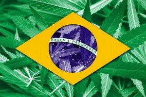 Brazil Flag ove cannabis