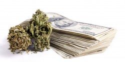 Cannabis and cash