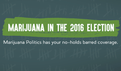 MarijuanaIn 2016 Elections