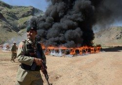 Pakistan paramilitary burns heroin