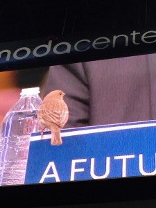 Bernie Sanders Path to the Nomination Began With a Bird