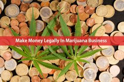 Make Money Legally In Marijuana Business