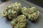 Girl Scout Cookies - Top 10 Marijuana Strains of 2016