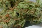 Headband - Top 10 Marijuana Strains of 2016