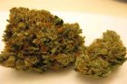 Herijuana - Top 10 Marijuana Strains of 2016