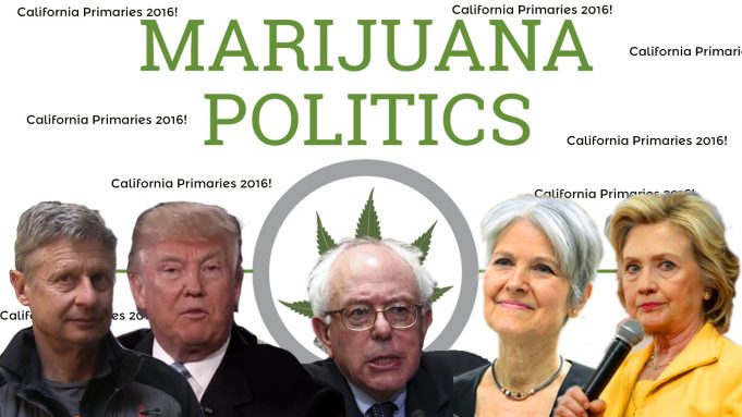 california primaries 2016 candidates marijuana positions