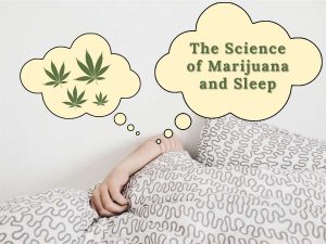 Science behind how marijuana helps sleep
