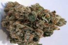 OG Kush - Top 10 Marijuana Strains of 2016