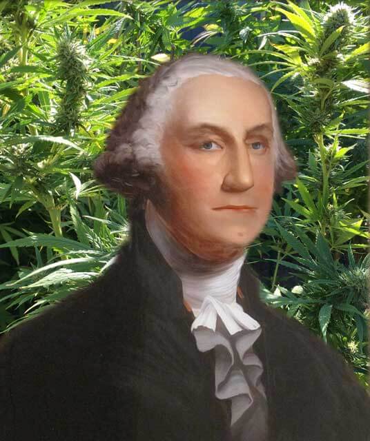 George Washington and hemp plastic