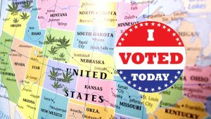 US Elections Cannabis Impact