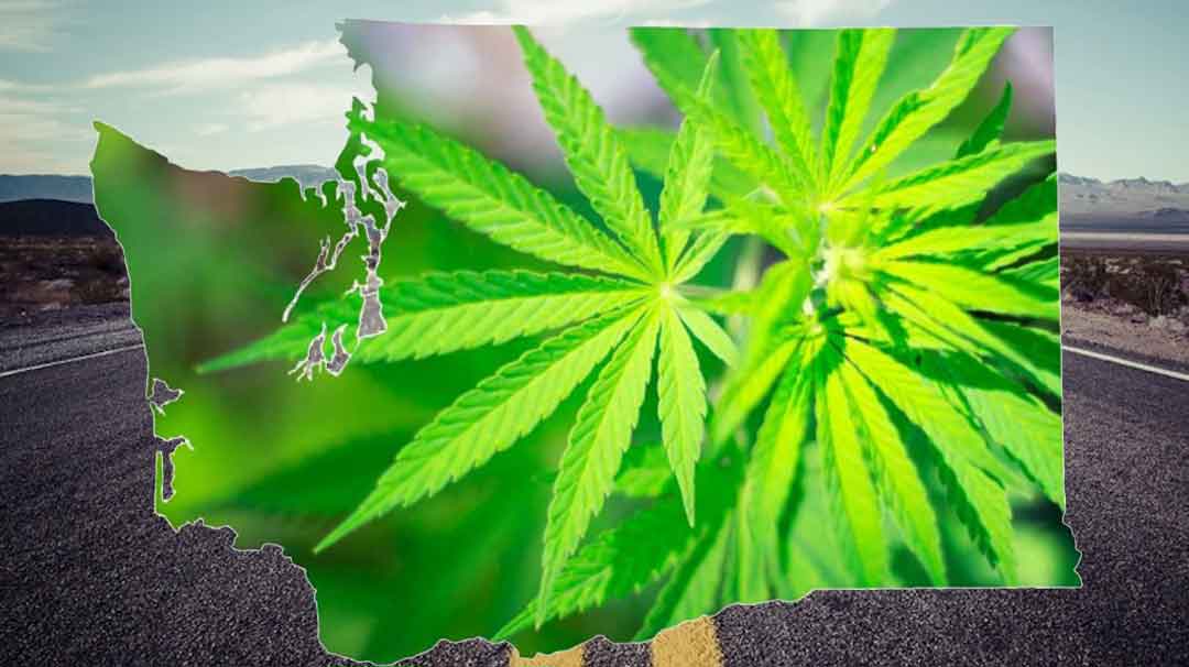 Legal Limits for Marijuana in Washington