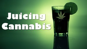 how to juice cannabis