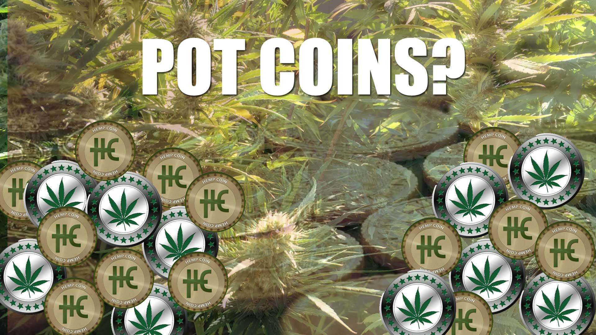 marijuana crypto coins