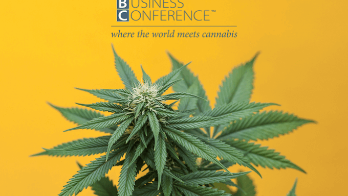 Cannabis Plant ICBC Logo