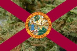 Florida Sidesteps Medicinal Marijuana Progression