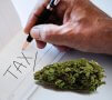 New York Marijuana Tax Revenue Potential